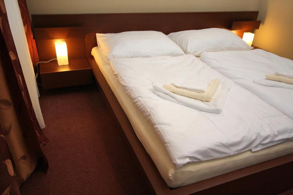Penzion Haydnuv Dum Dolní Lukavice Chambre photo