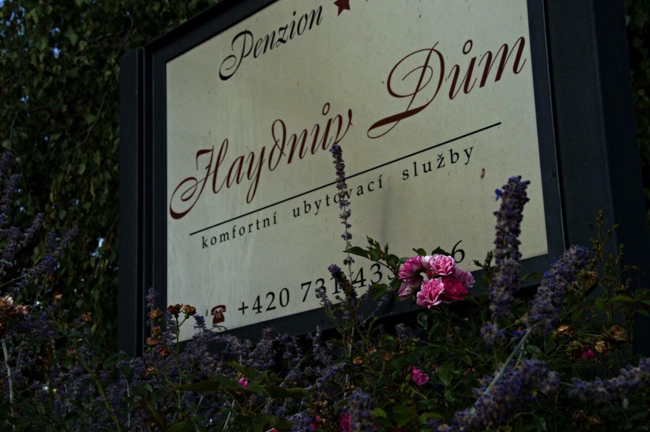 Penzion Haydnuv Dum Dolní Lukavice Extérieur photo